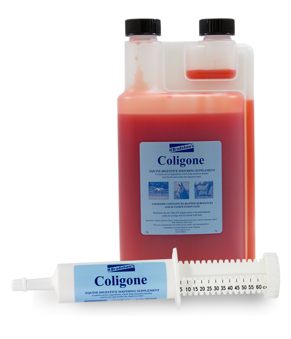 Coligone Starter Pack