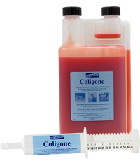 Coligone Liquid Starter-Pack