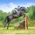 Horse and rider jumping a cross country fence