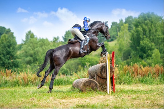 Horse and rider jumping a cross country fence
