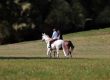 Two horses and riders hacking in the countryside